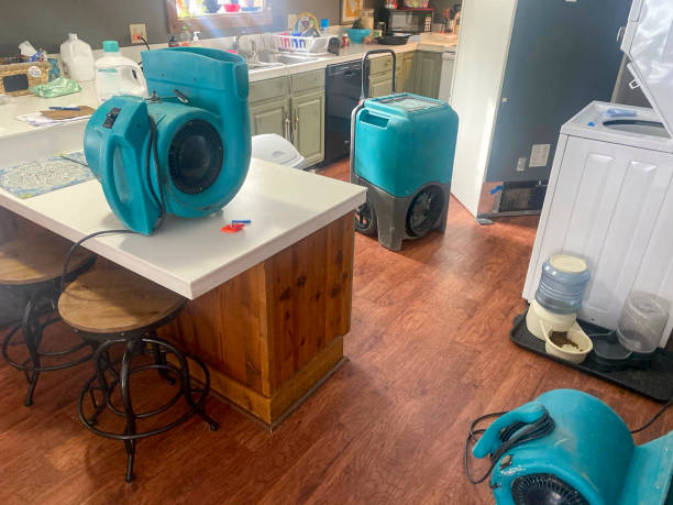  Spearman, TX Water damage restoration Pros