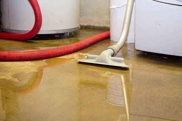 Best Water damage restoration insurance claims  in Spearman, TX
